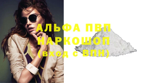 шишки Белоозёрский