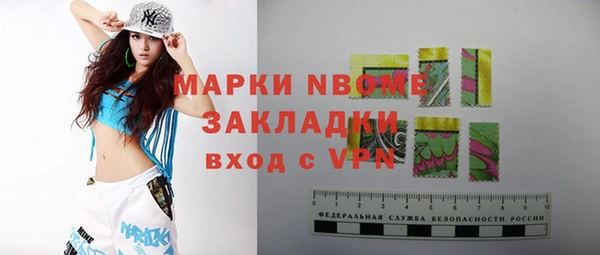шишки Белоозёрский