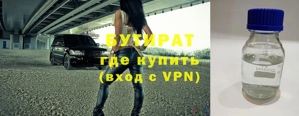 шишки Белоозёрский