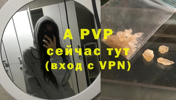шишки Белоозёрский