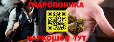 хмурый Малоярославец