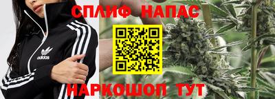 хмурый Малоярославец