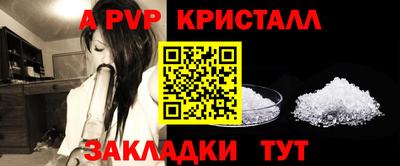 крисы Малгобек