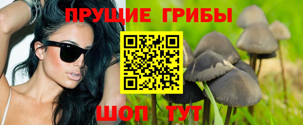 Псилоцибиновые грибы ЛСД  Галлюциногенные грибы ЛСД  дарнет шоп  Вход с VPN  Волжск 