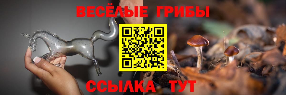 Псилоцибиновые грибы Magic Shrooms Волжск